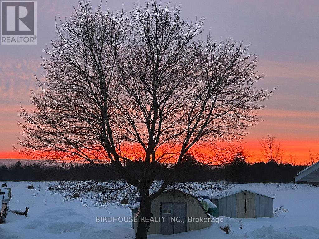Photo 39 of 53 Maple Grove Road, Kawartha Lakes ON