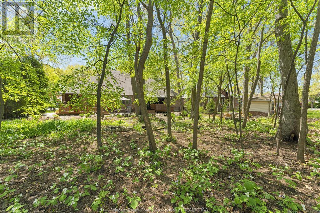 Photo 47 of 2220 Suzanne Street, Lasalle ON