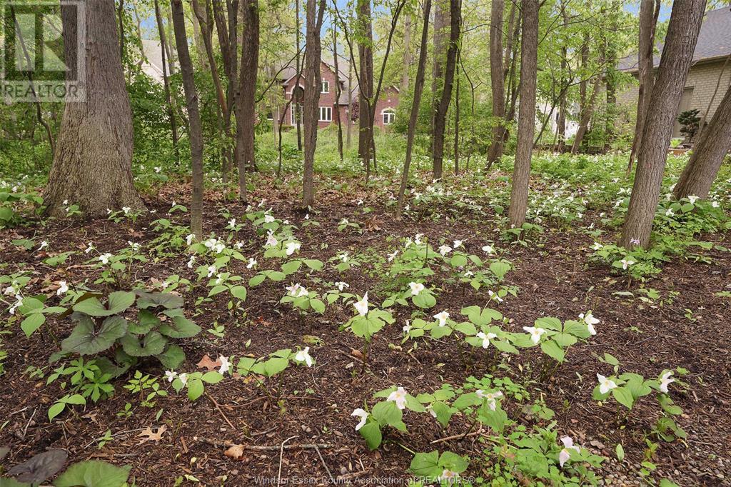 Photo 46 of 2220 Suzanne Street, Lasalle ON