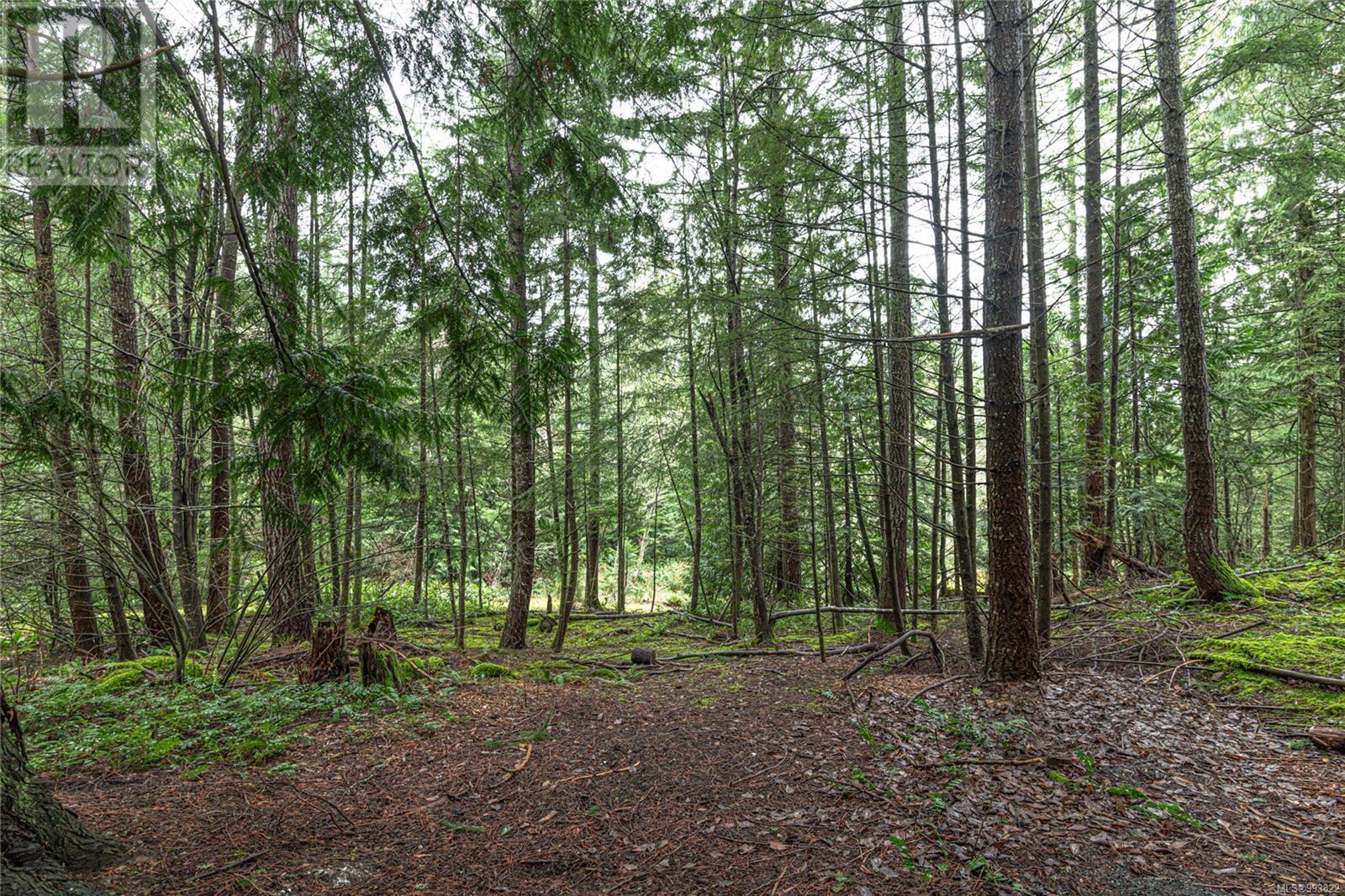 430 Mt. Belcher Hts, Salt Spring