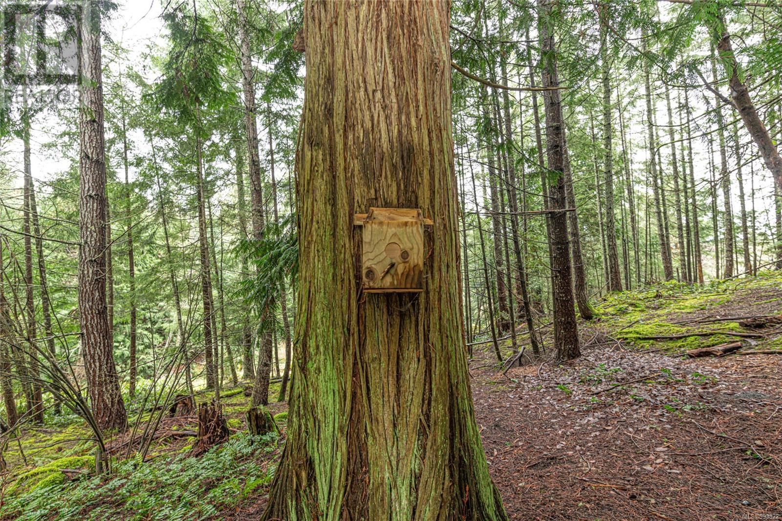 430 Mt. Belcher Hts, Salt Spring