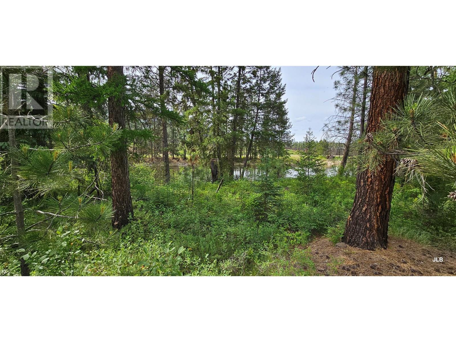 DL164s Kettle River Road E Lot# Lot 1, Rock Creek