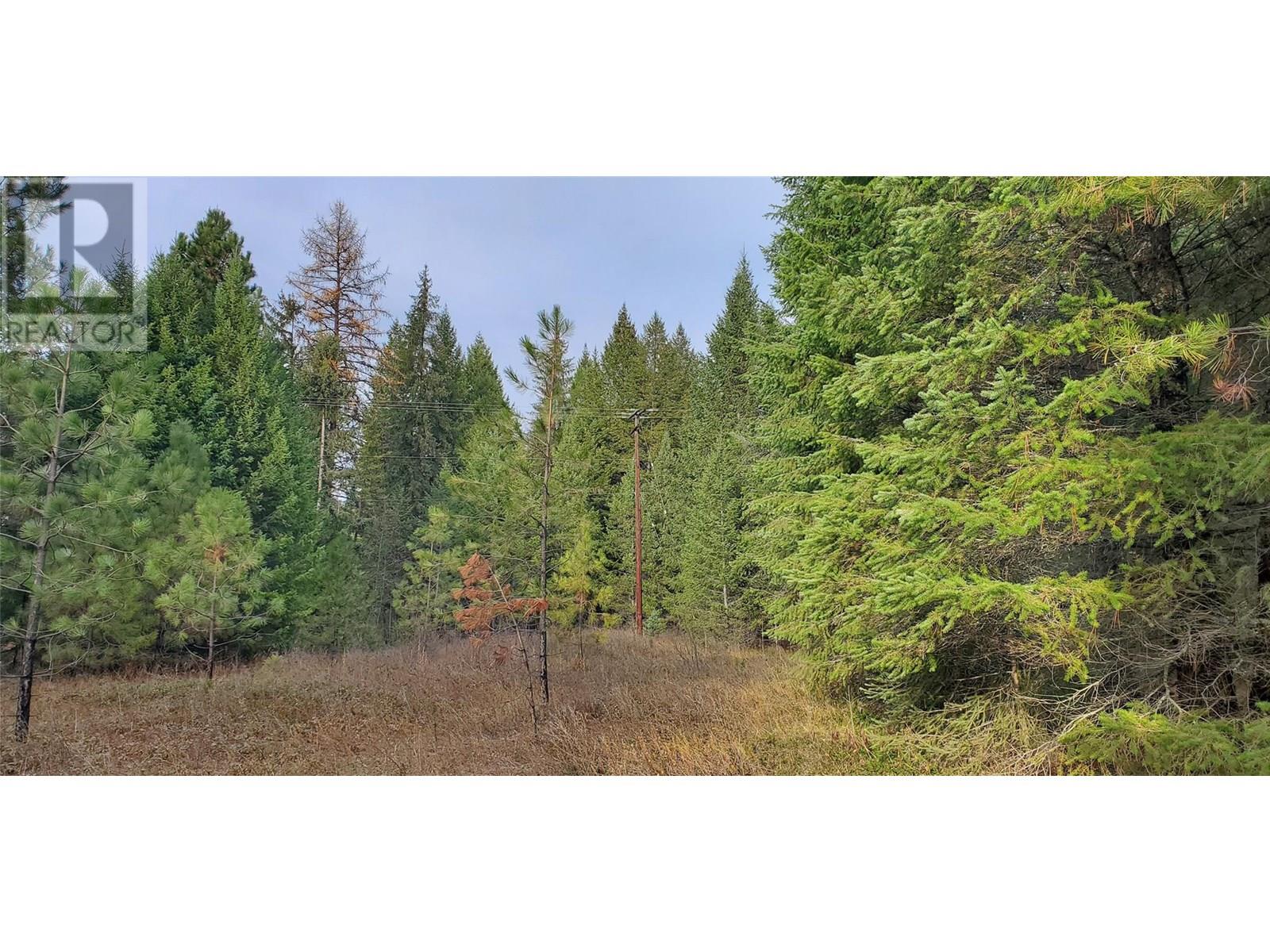 DL164s Kettle River Road E Lot# Lot 1, Rock Creek