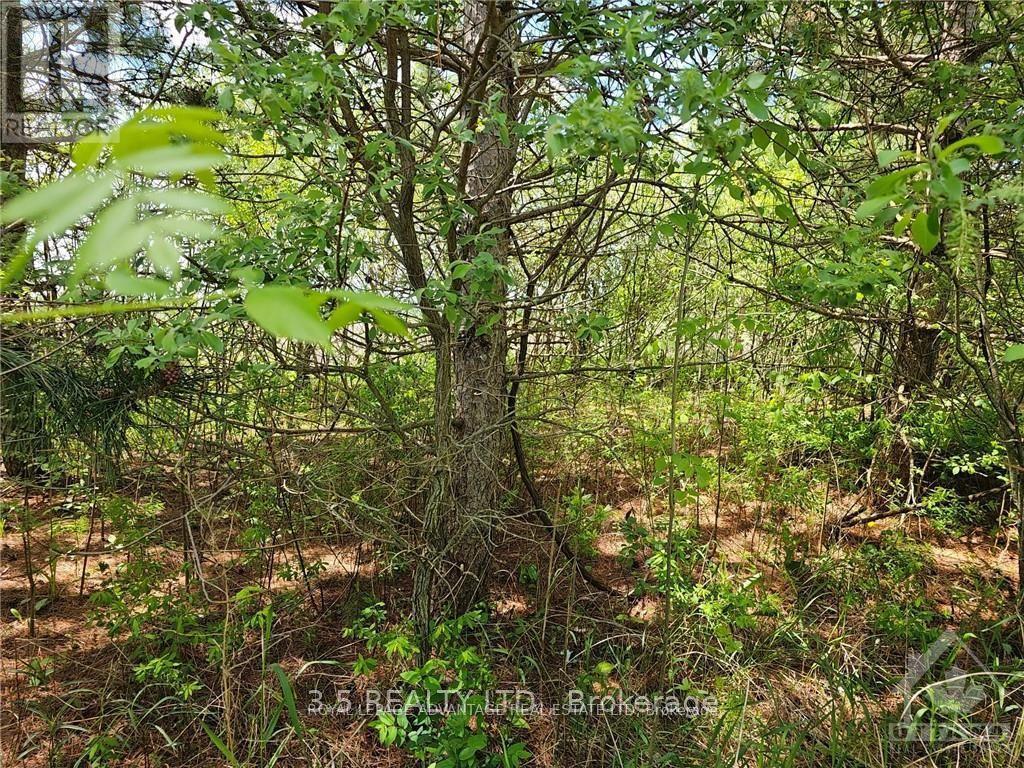 Photo 15 of 2876 1 County 16 Road, Merrickvillewolford ON