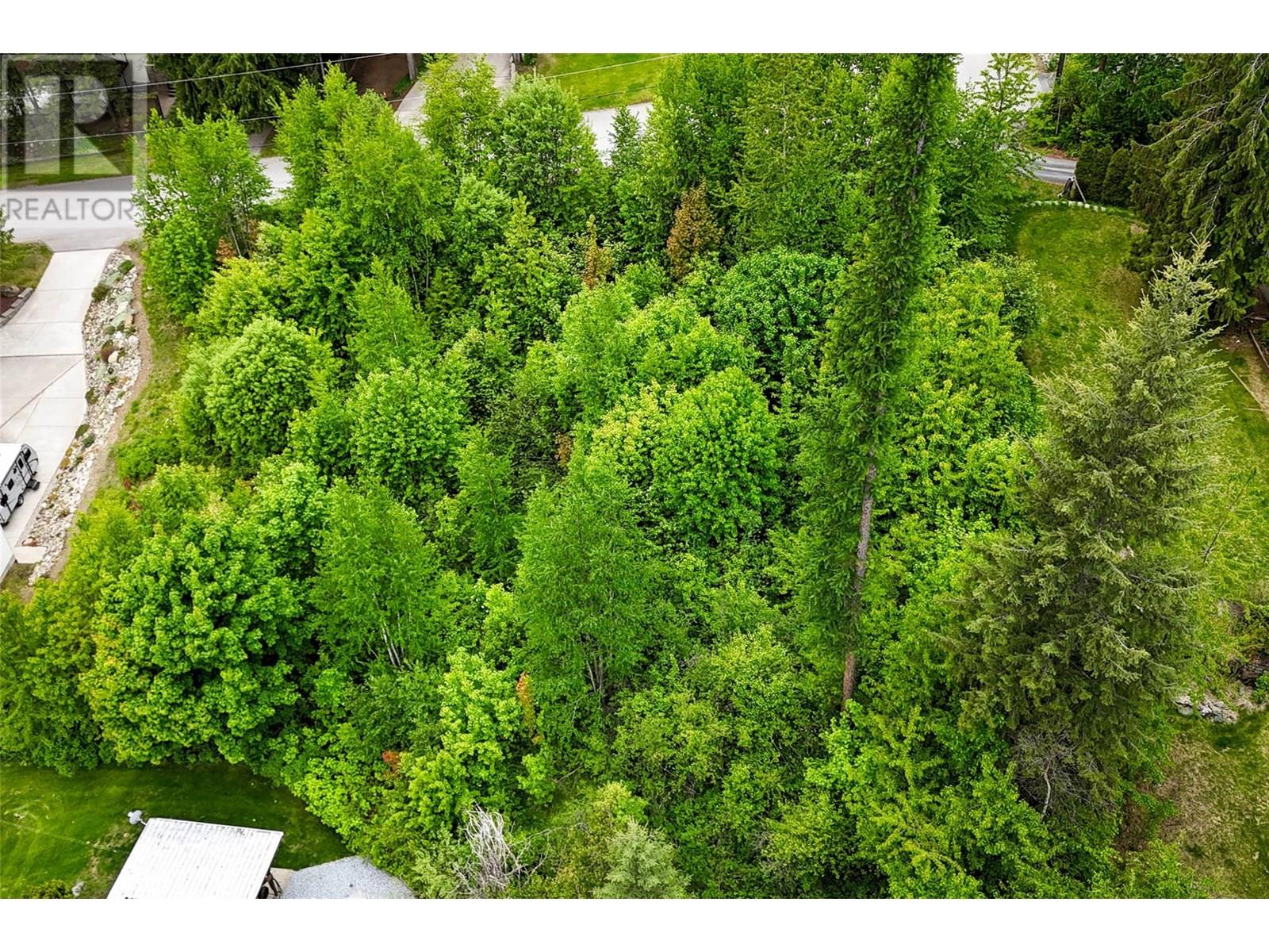 28 EVERGREEN AVENUE - 11