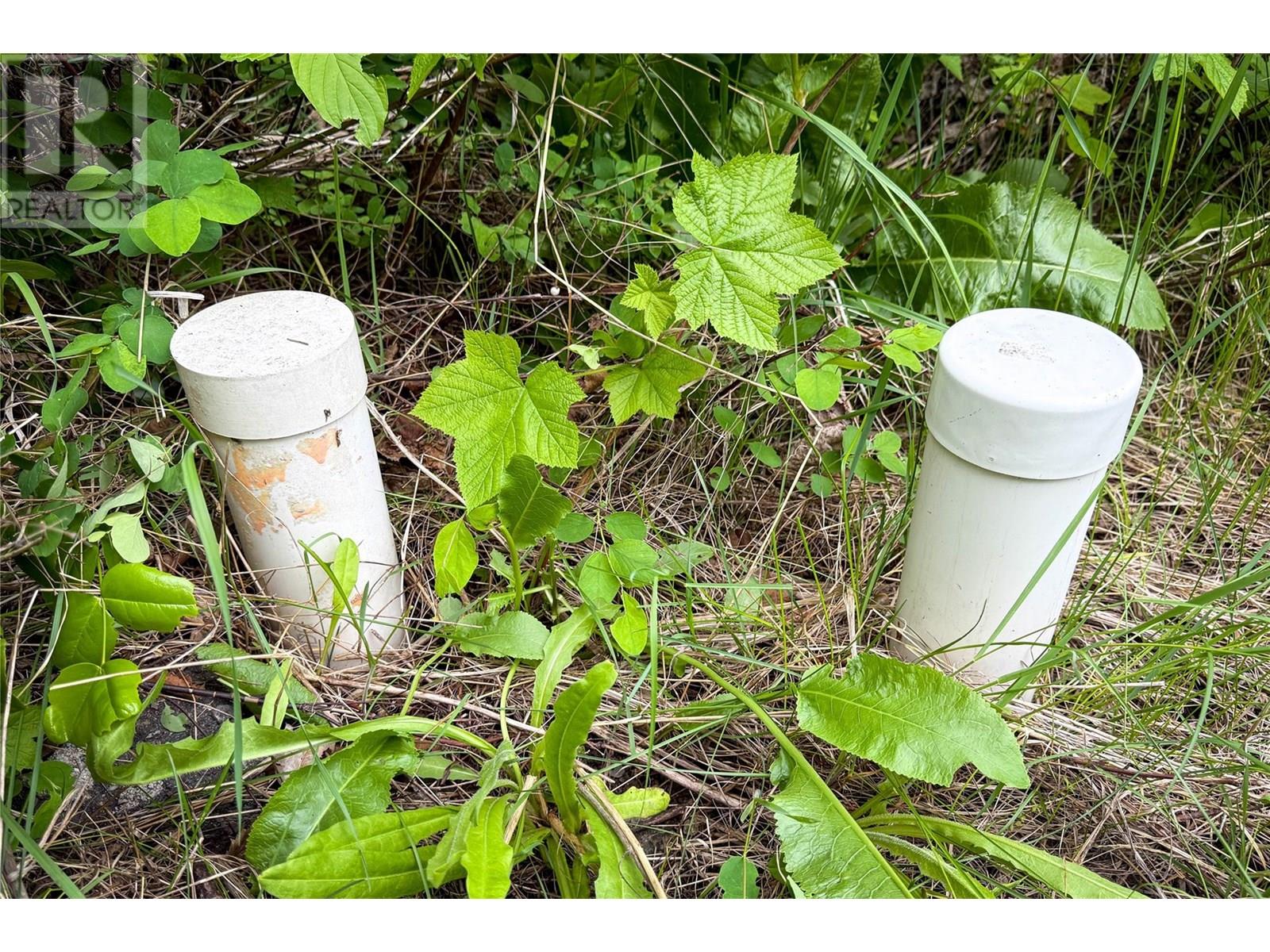 28 EVERGREEN AVENUE - 10