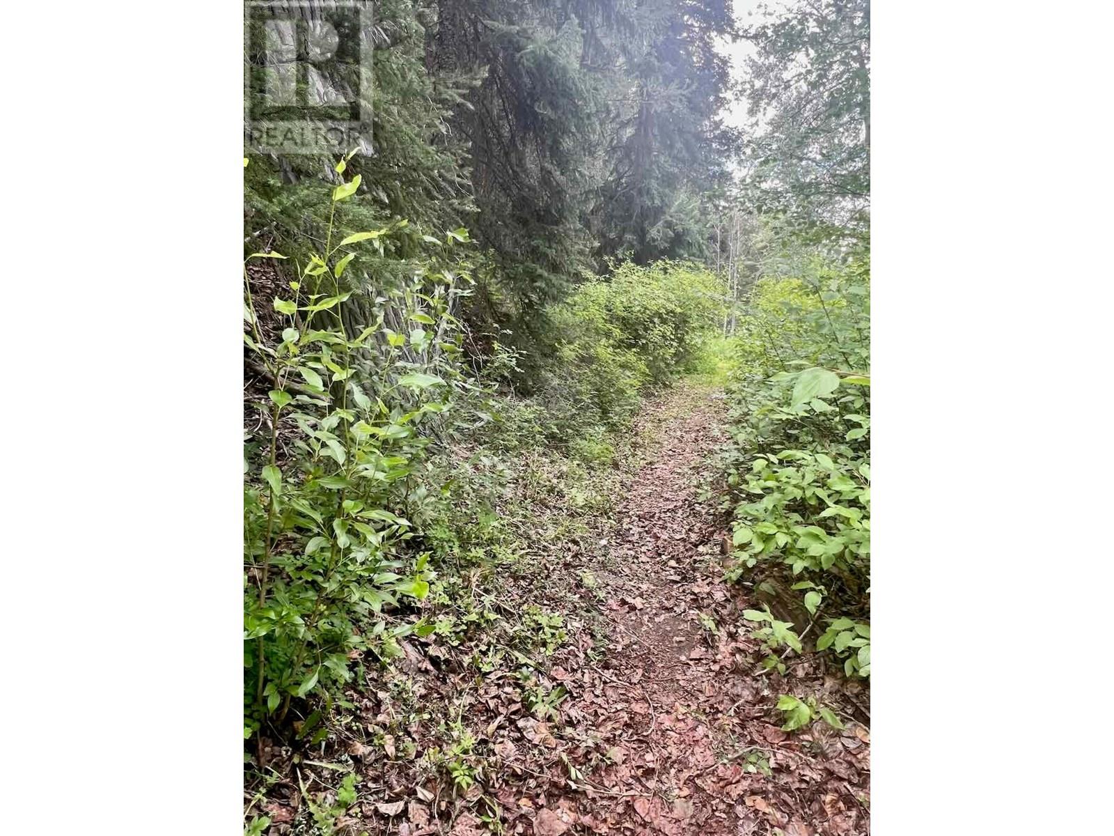 820 KANE VALLEY Road - 15