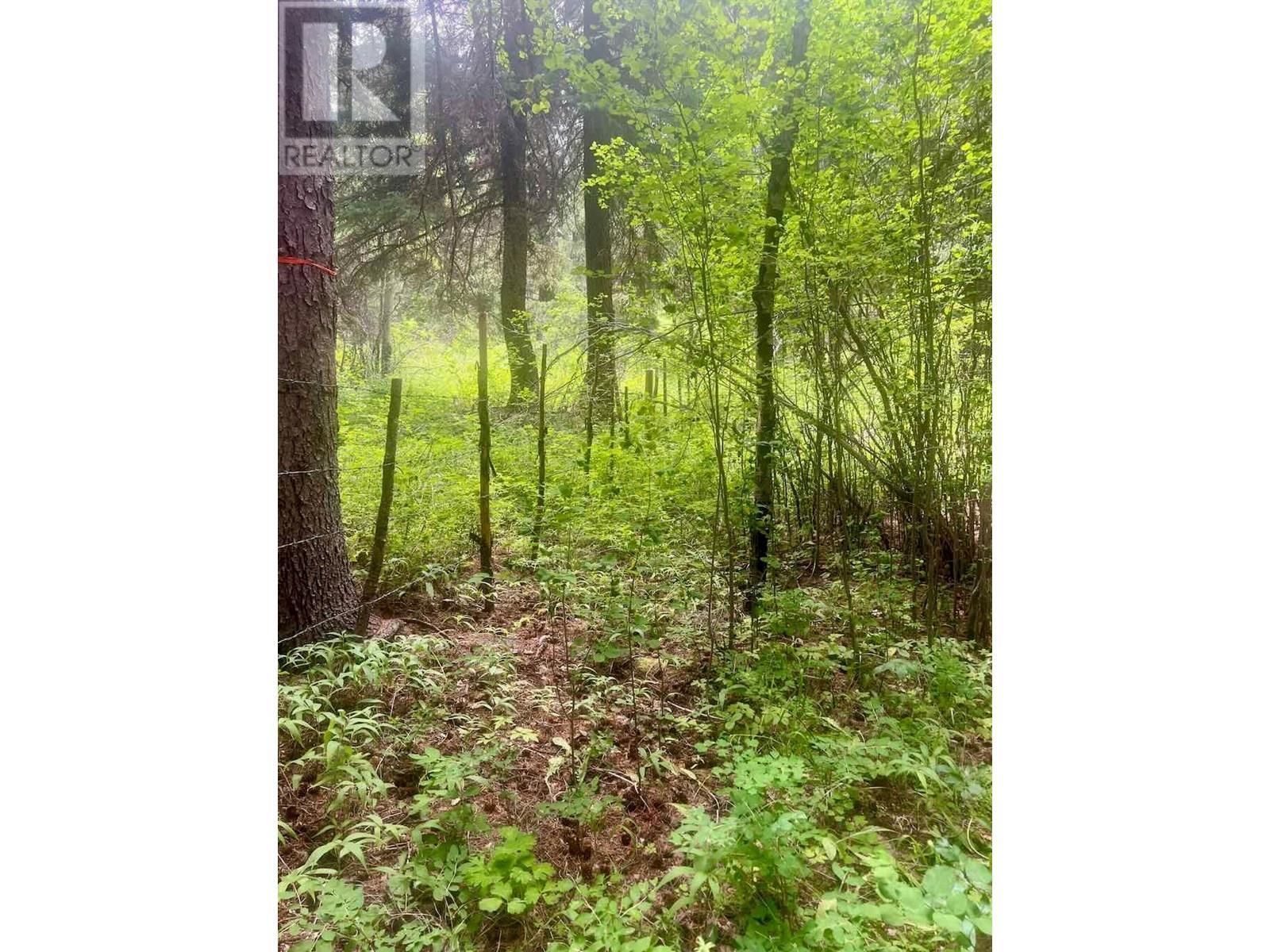 820 KANE VALLEY Road - 19