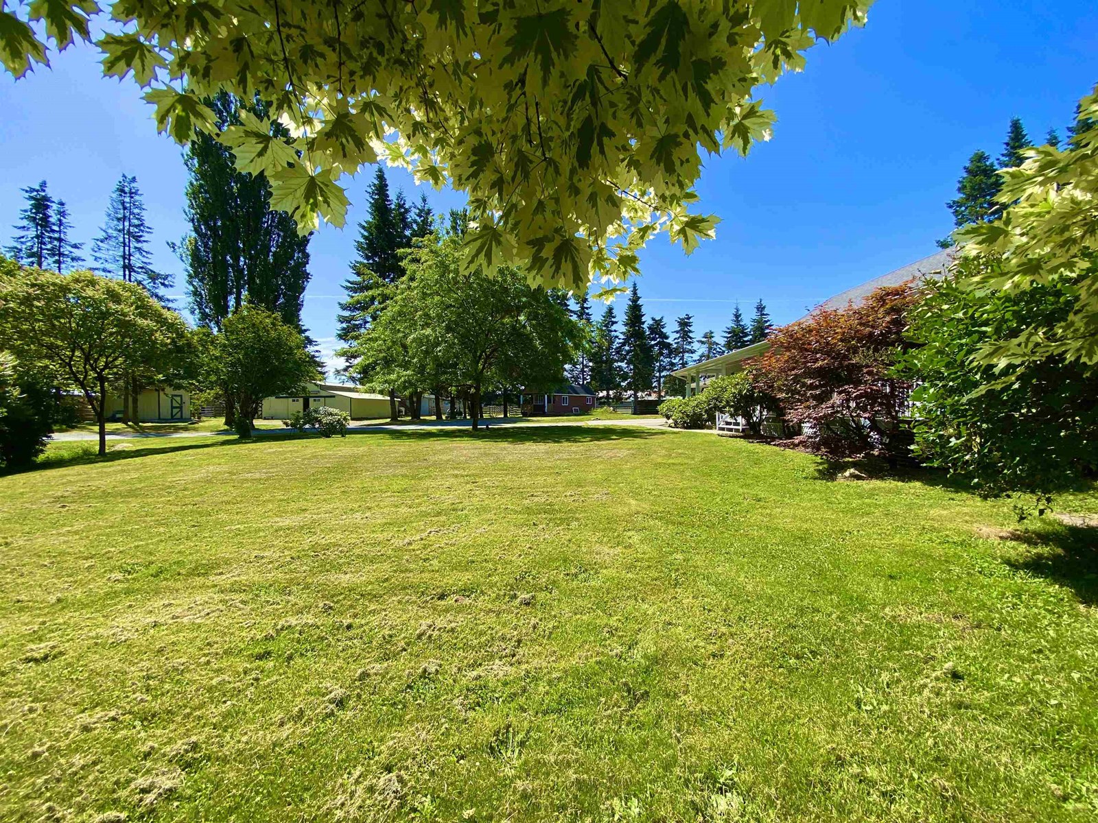 Photo 11 of 3643 254 Street, Langley BC