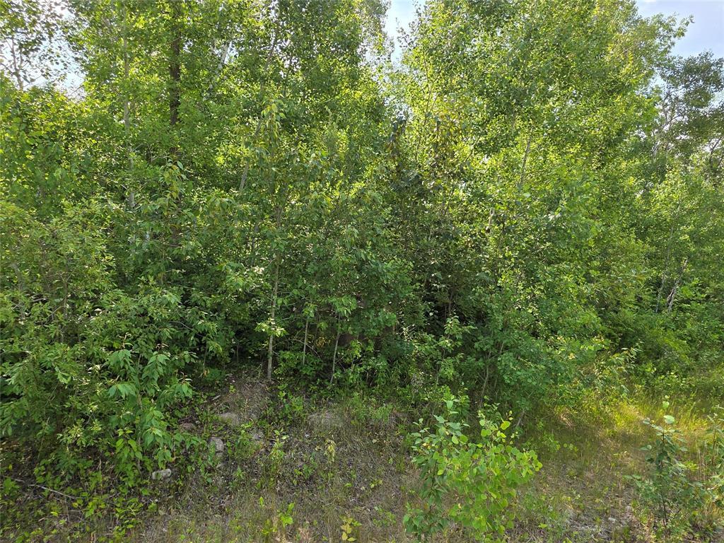 Photo 10 of 57 Sunset Bay, Sunset Beach MB