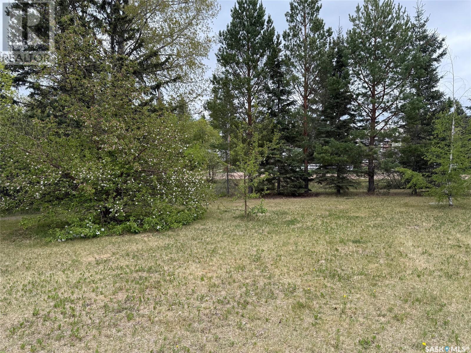 Photo 19 of 18 Larson Street, Paddockwood Rm No 520 SK