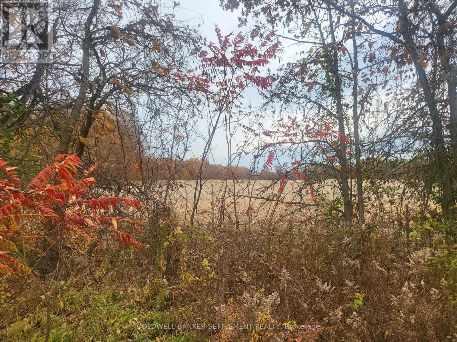 Photo 1 of Lot 1 Bush Road E, Rideau Lakes ON