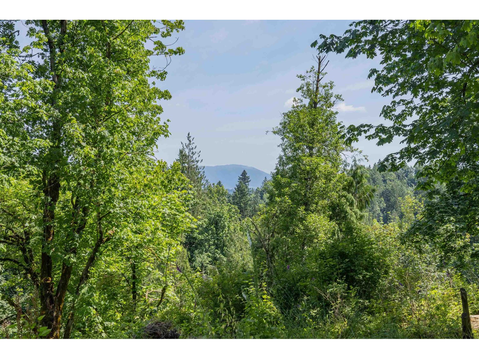 7 29605 MCTAVISH ROAD, Abbotsford