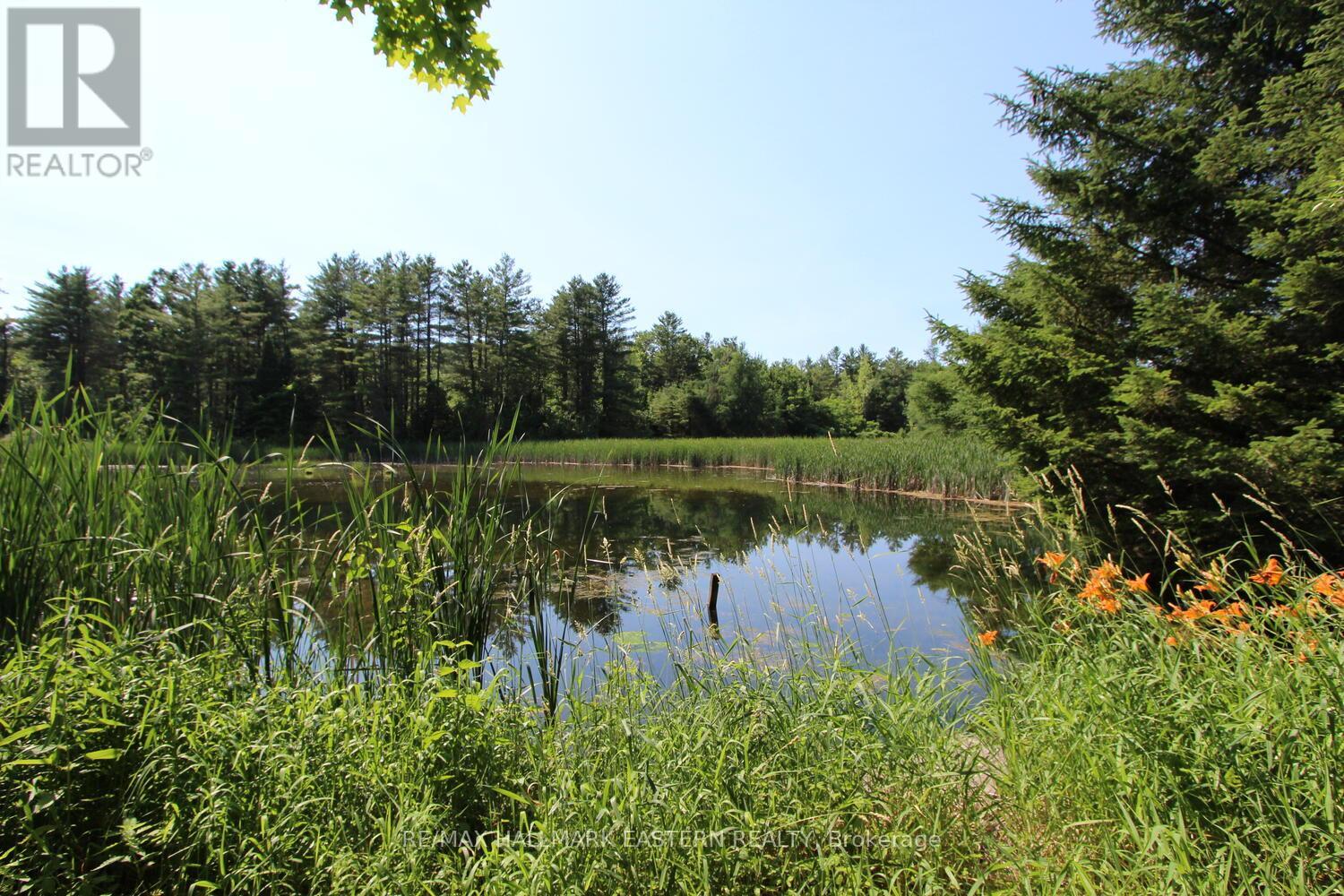 Photo 21 of 240 Cole Road, Havelockbelmontmethuen ON