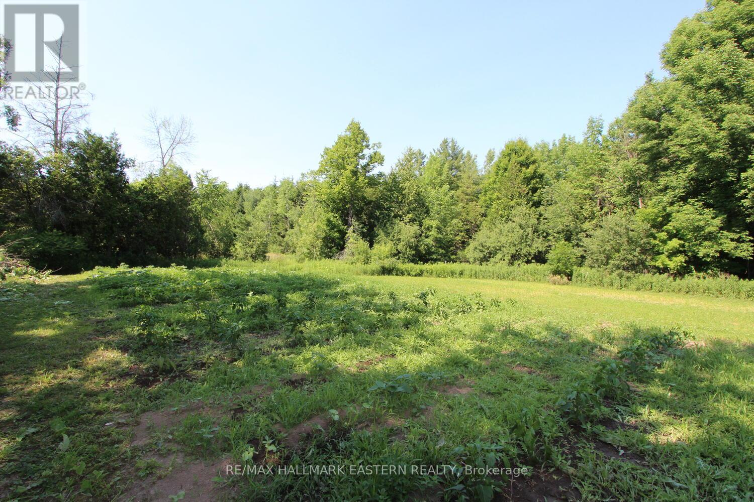 Photo 39 of 240 Cole Road, Havelockbelmontmethuen ON