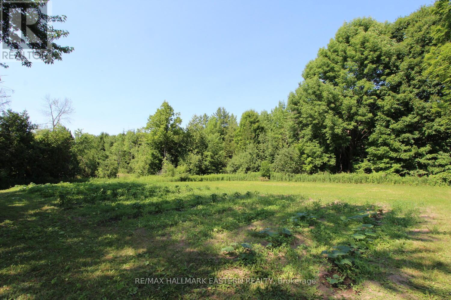 Photo 30 of 240 Cole Road, Havelockbelmontmethuen ON