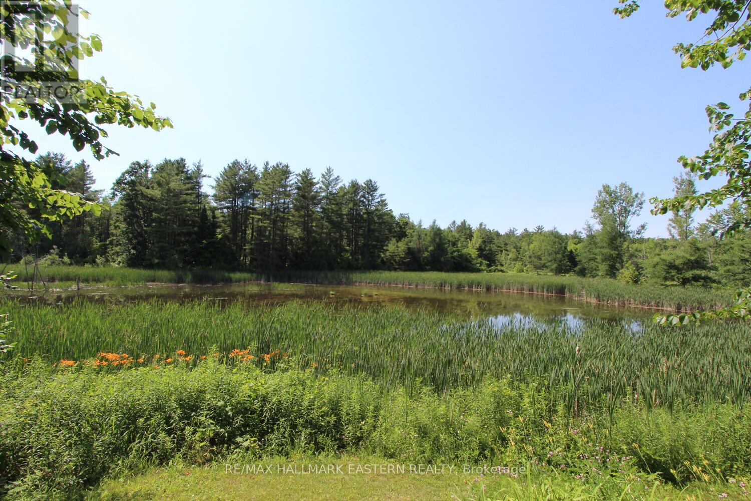 Photo 47 of 240 Cole Road, Havelockbelmontmethuen ON