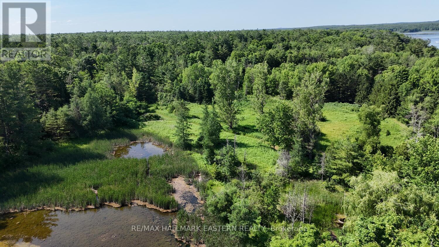 Photo 11 of 240 Cole Road, Havelockbelmontmethuen ON