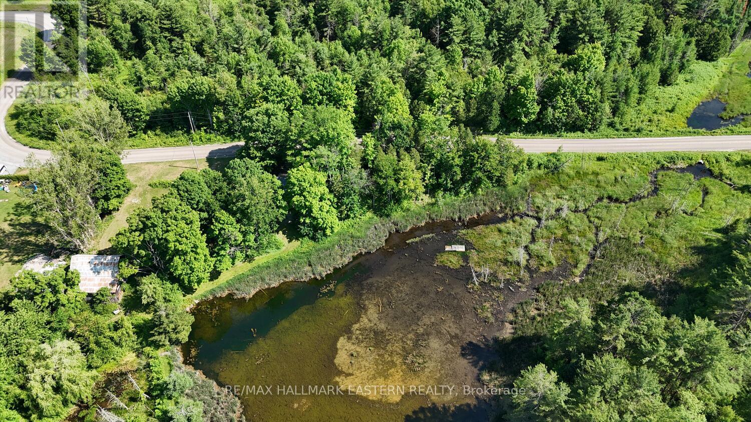 Photo 19 of 240 Cole Road, Havelockbelmontmethuen ON