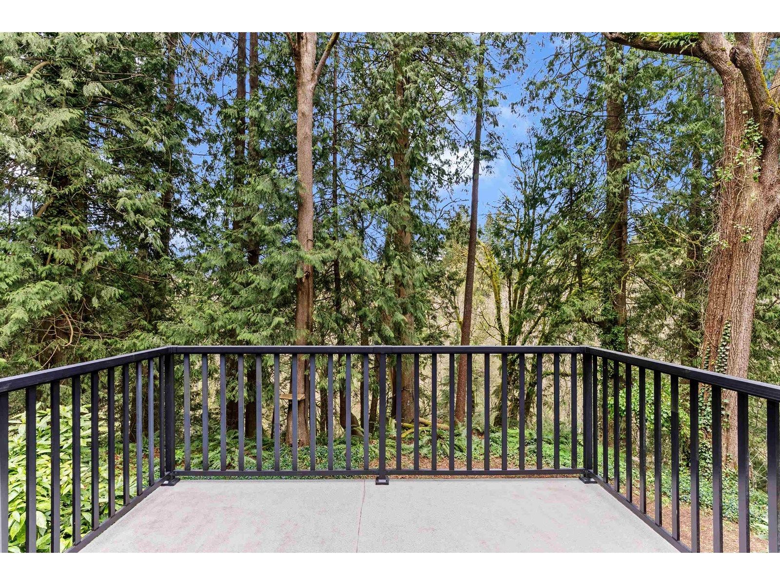 Photo 18 of 4280 196 B Street, Langley BC