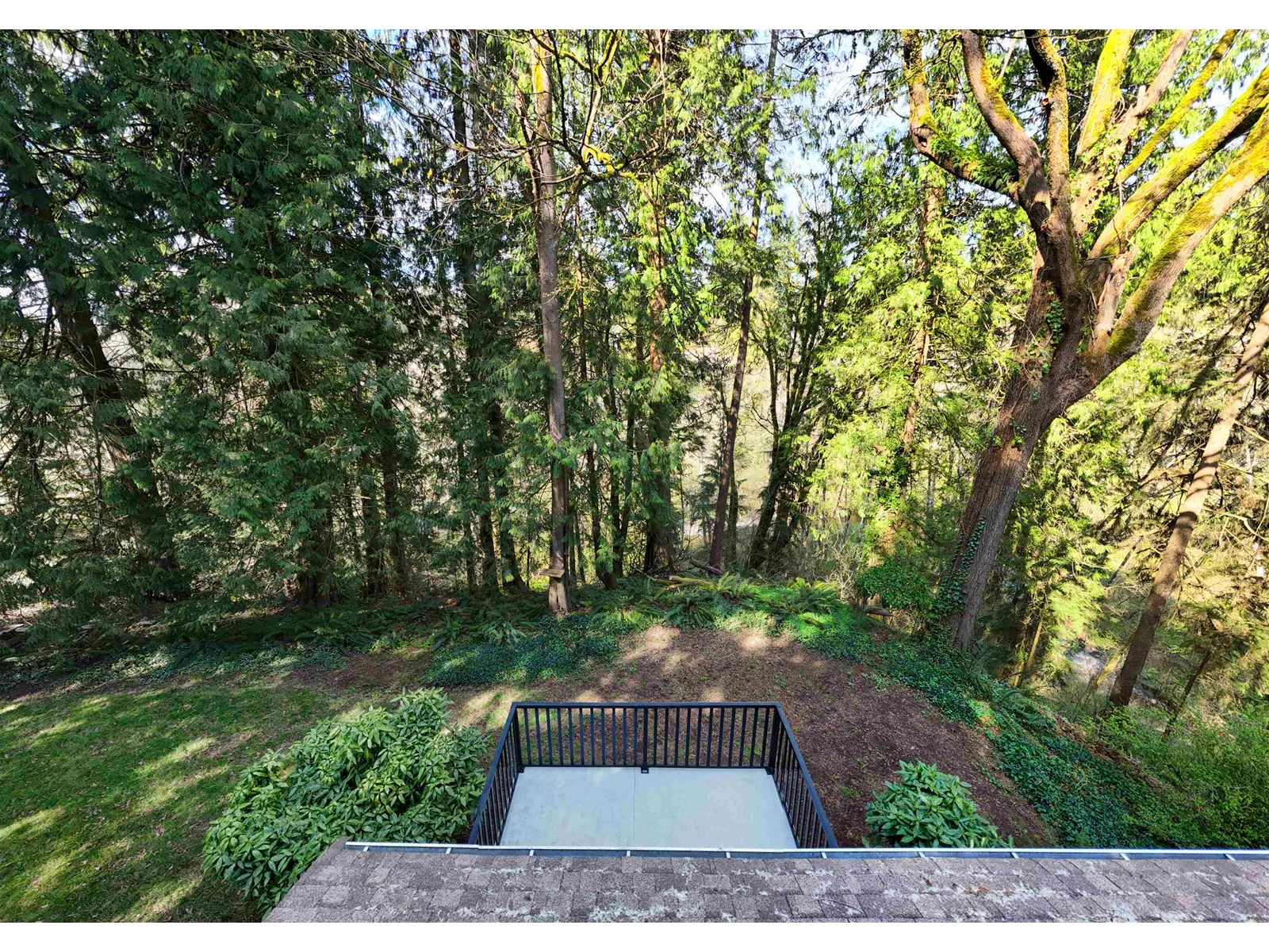 Photo 5 of 4280 196 B Street, Langley BC