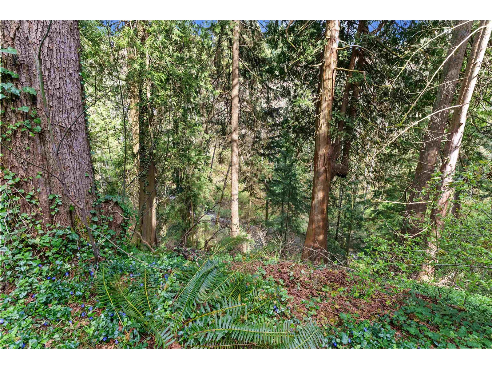 Photo 24 of 4280 196 B Street, Langley BC