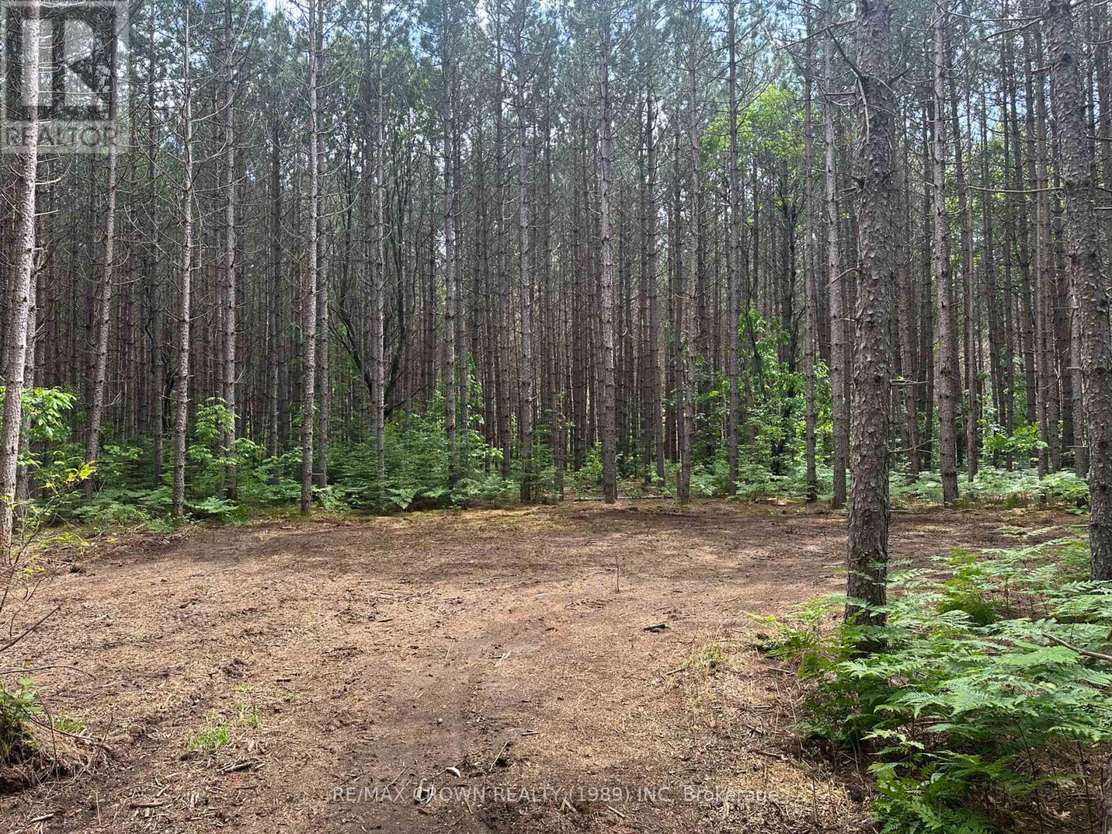 Photo 13 of Part 1 3097 Fern Glen Road, Mcmurrich Monteith ON