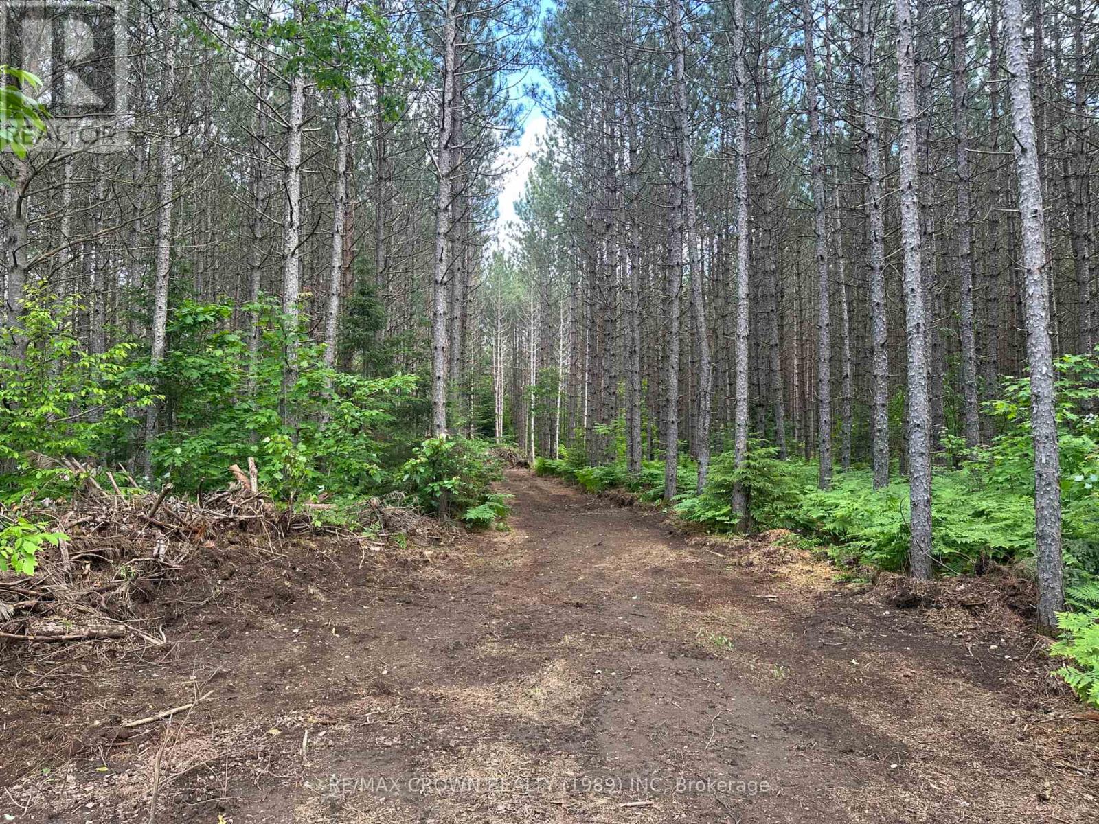 Photo 17 of Part 1 3097 Fern Glen Road, Mcmurrich Monteith ON