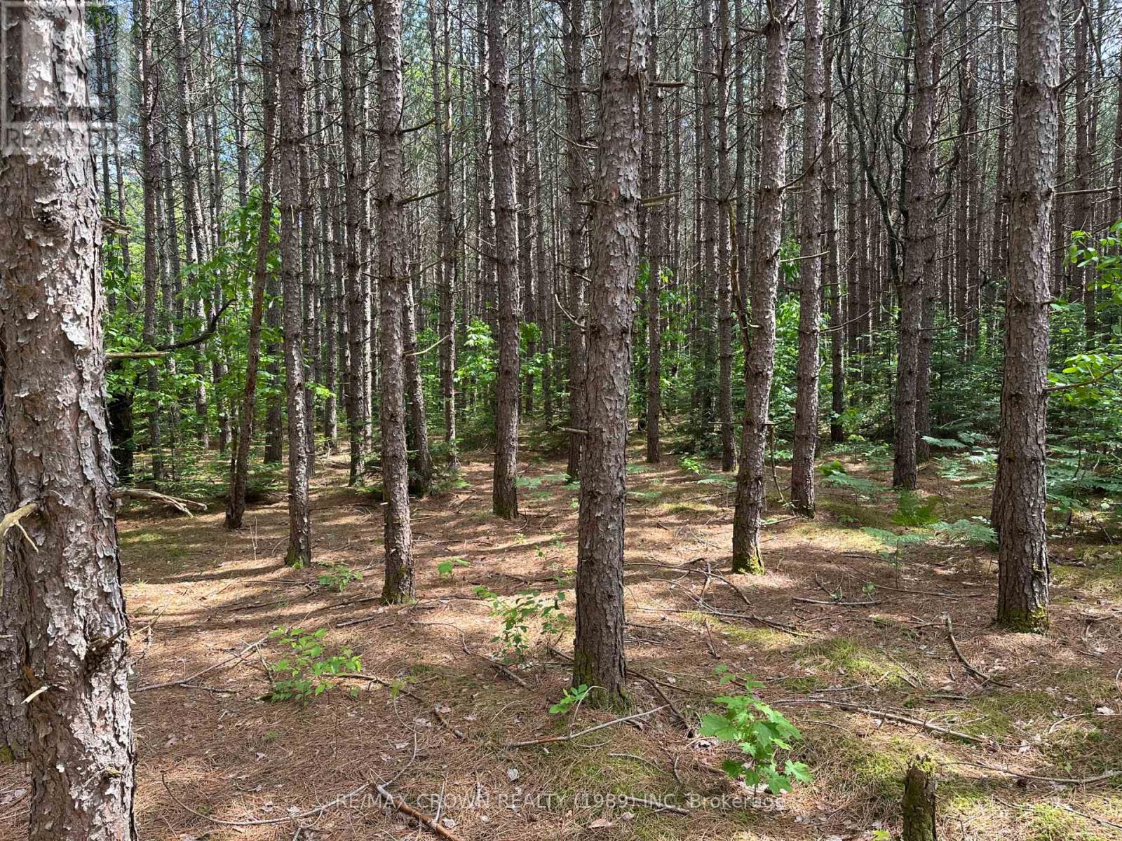 Photo 16 of Part 1 3097 Fern Glen Road, Mcmurrich Monteith ON