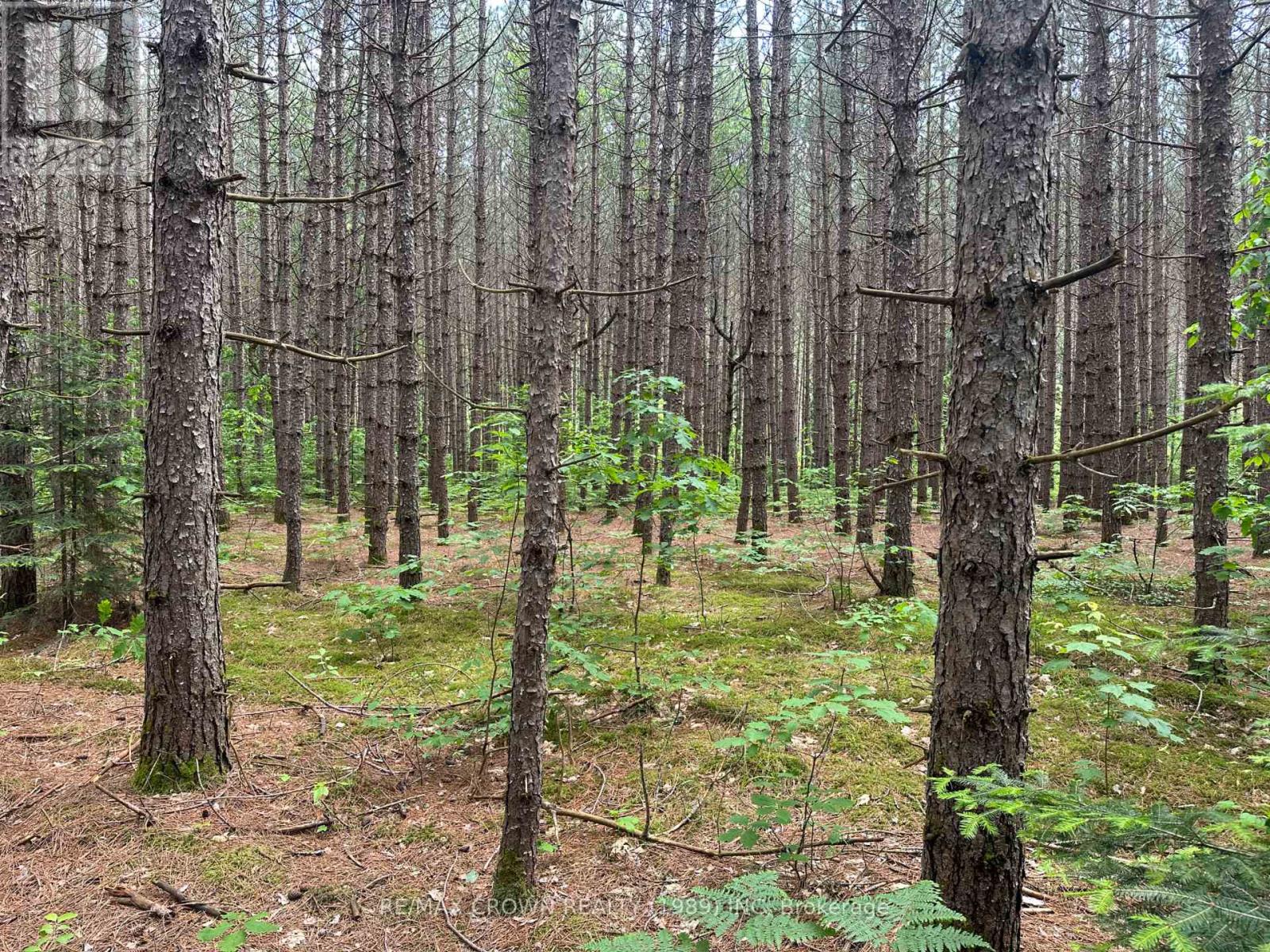 Photo 7 of Part 1 3097 Fern Glen Road, Mcmurrich Monteith ON