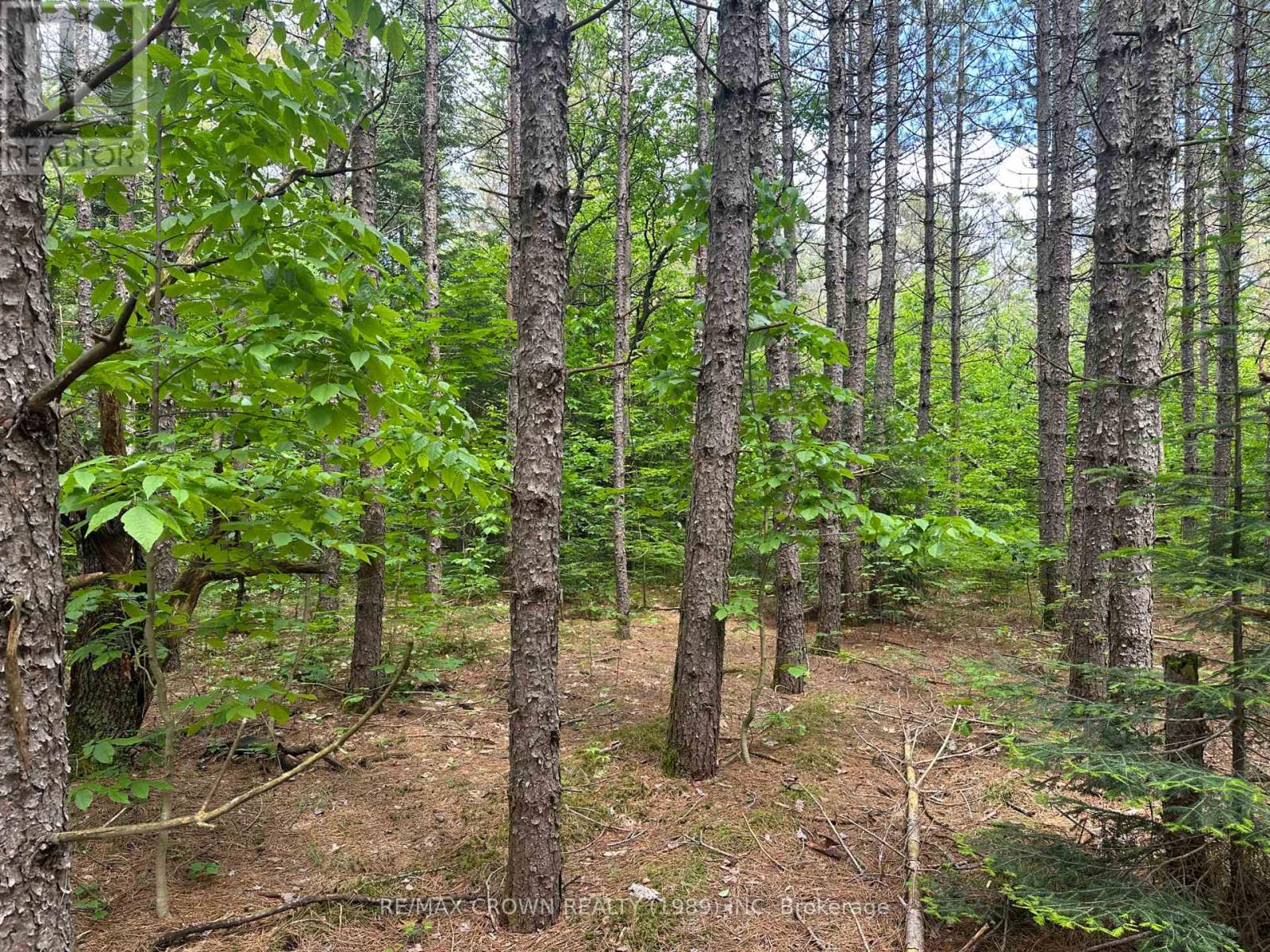 Photo 5 of Part 1 3097 Fern Glen Road, Mcmurrich Monteith ON