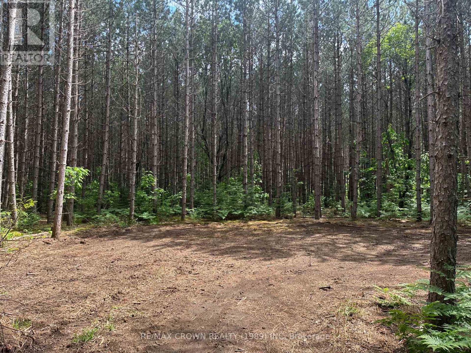 Photo 6 of Part 1 3097 Fern Glen Road, Mcmurrich Monteith ON