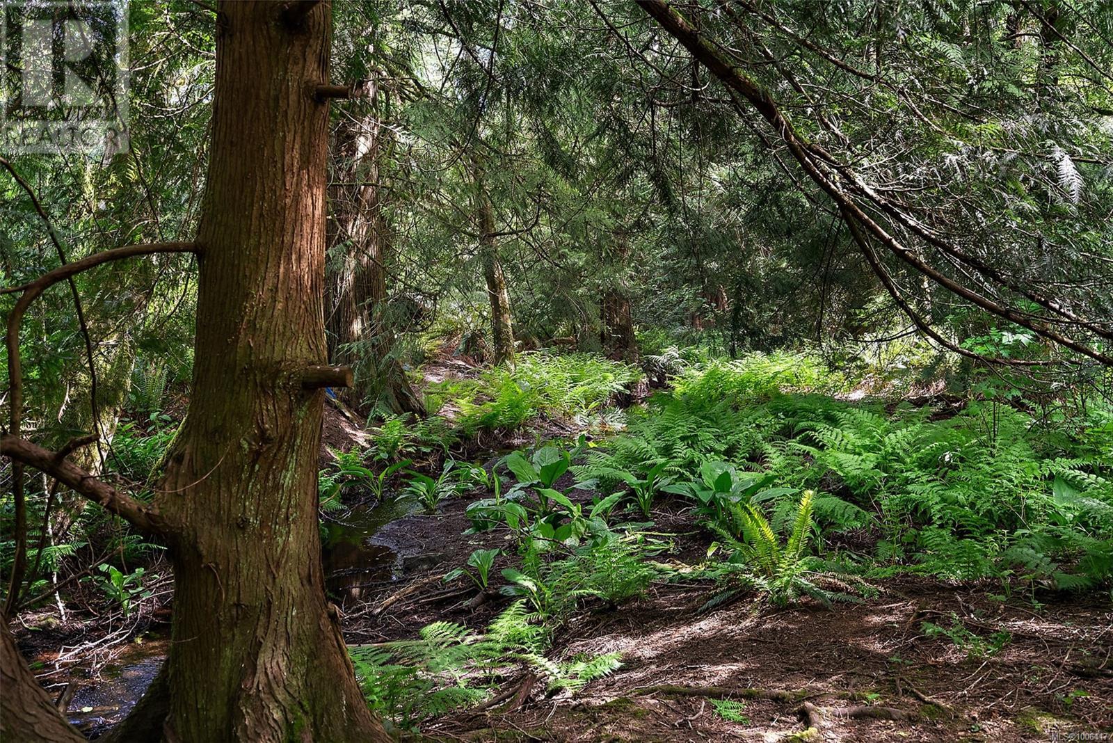 Photo 1 of 1691 Kangaroo Rd, Metchosin BC
