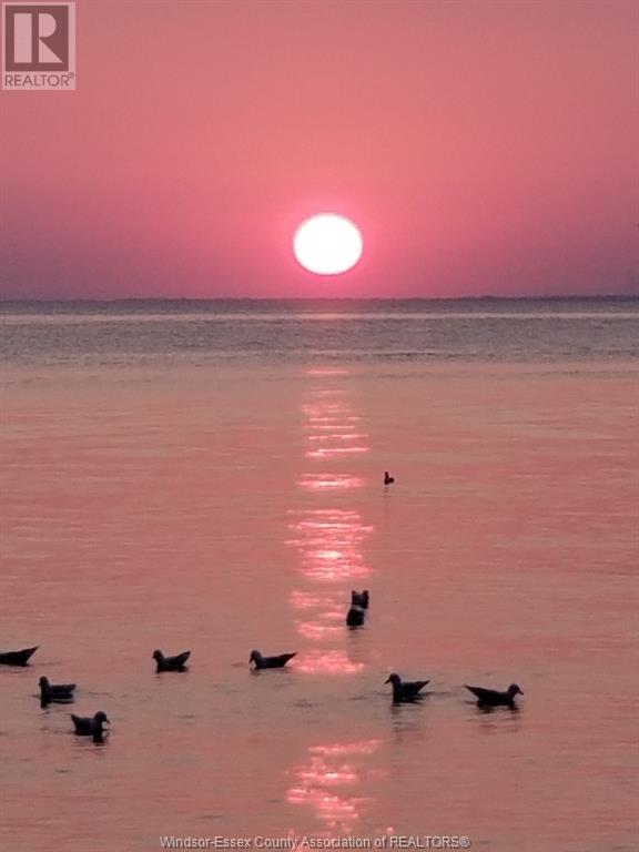 Photo 20 of 700 Point Pelee, Leamington ON