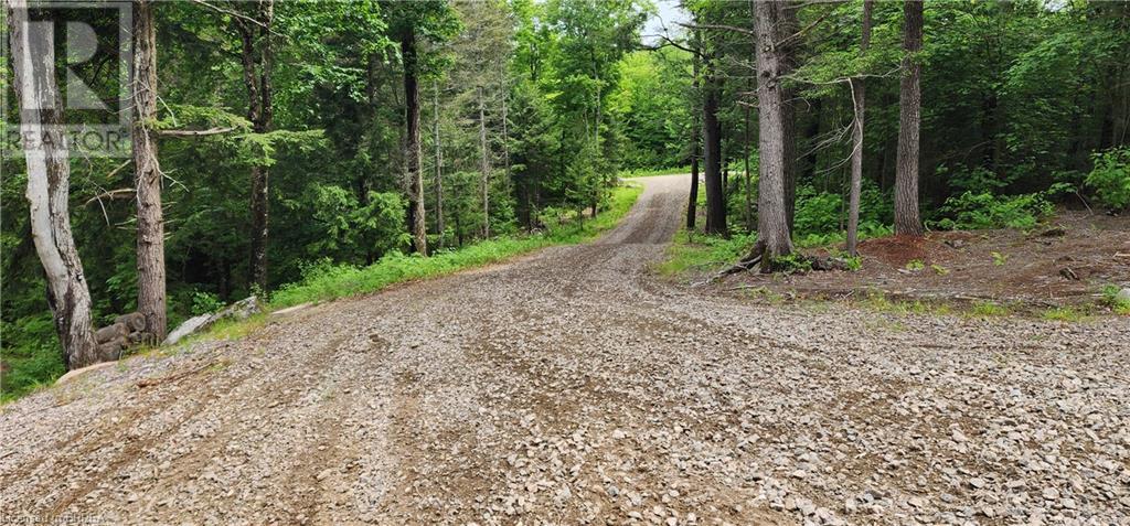 Photo 21 of 1814 Riding Ranch Road, South River ON