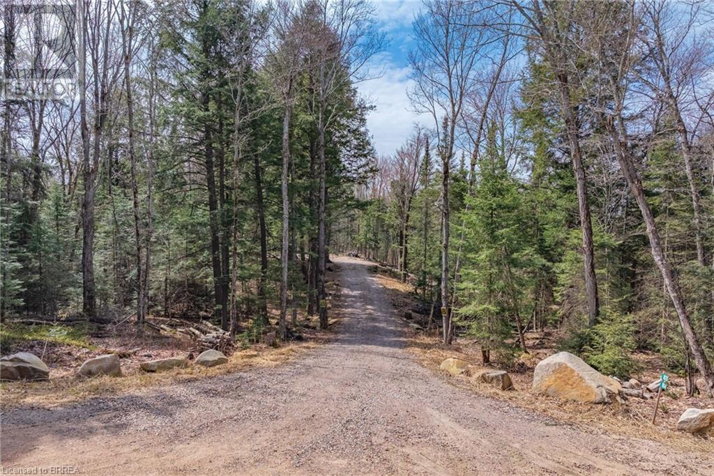 Photo 19 of 1820 Riding Ranch Road, South River ON