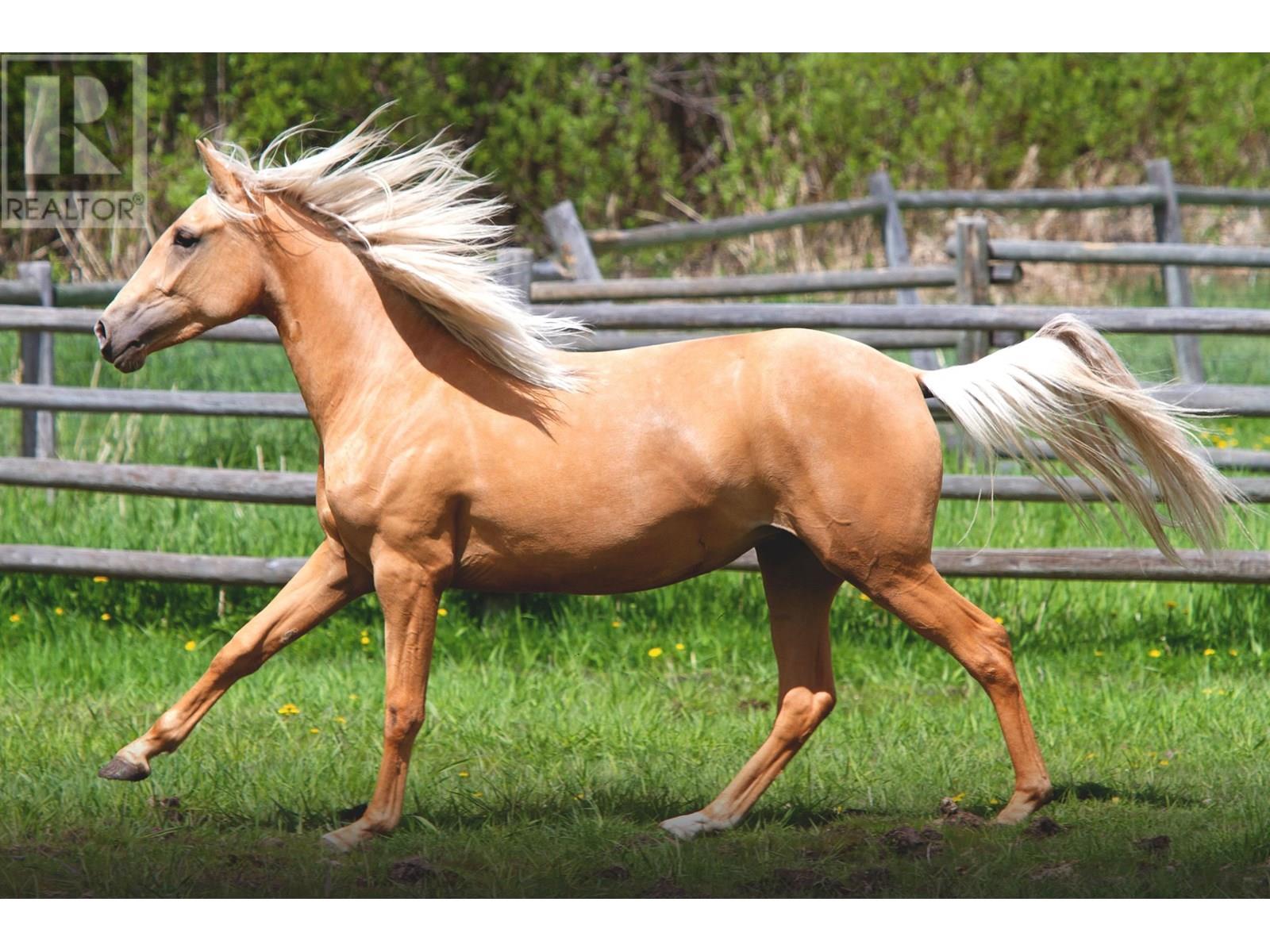 5242 MAHOOD LAKE ROAD - 35