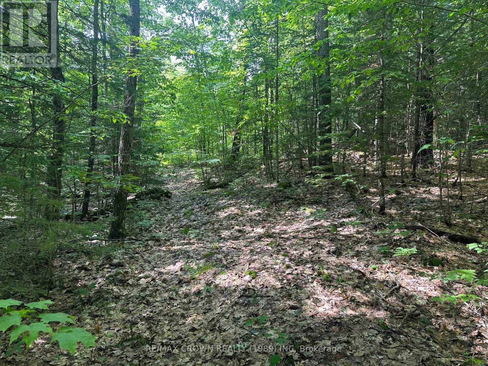 Photo 10 of Part 2 3097 Fern Glen Road, Mcmurrich Monteith ON