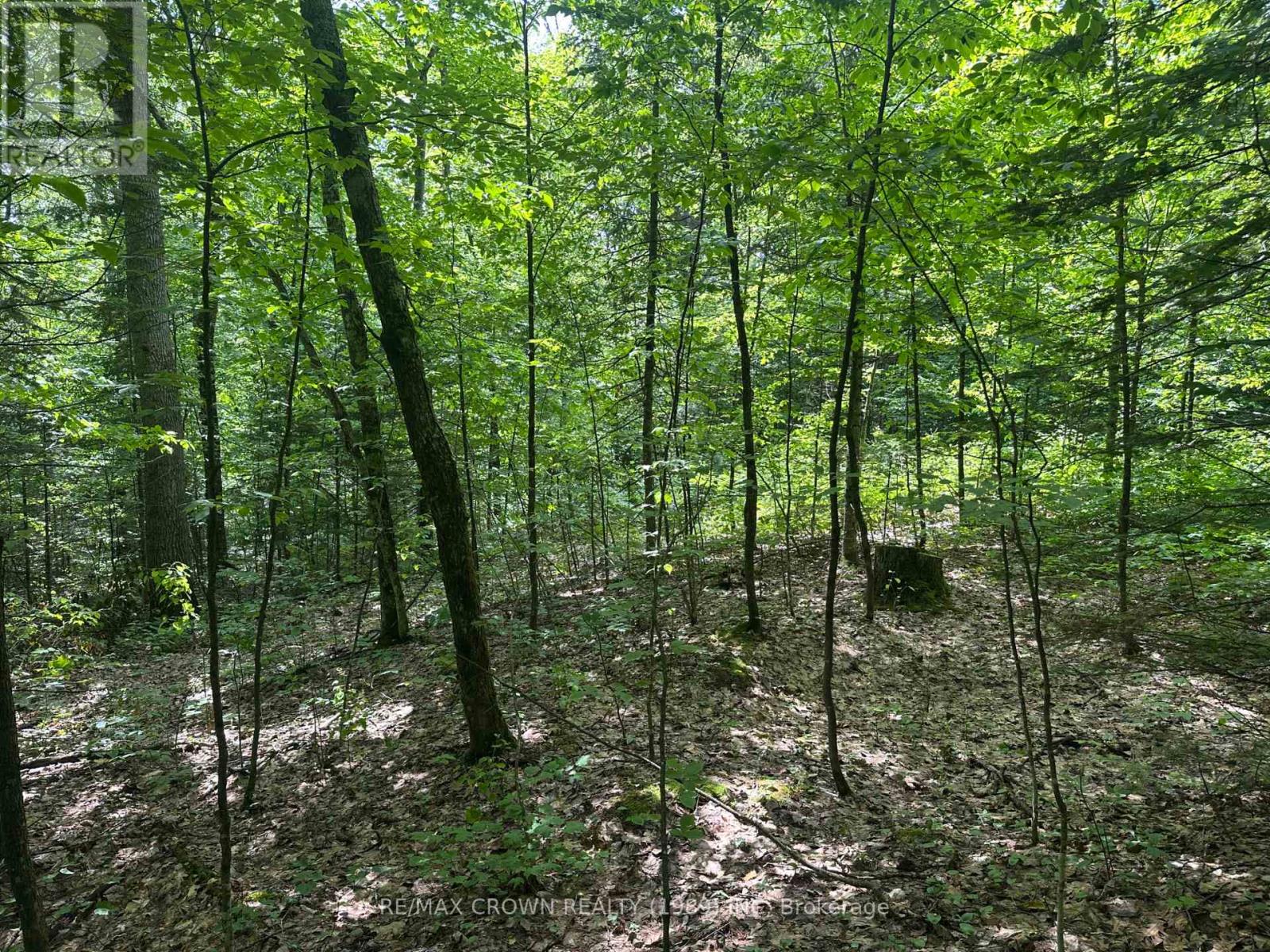 Photo 8 of Part 2 3097 Fern Glen Road, Mcmurrich Monteith ON
