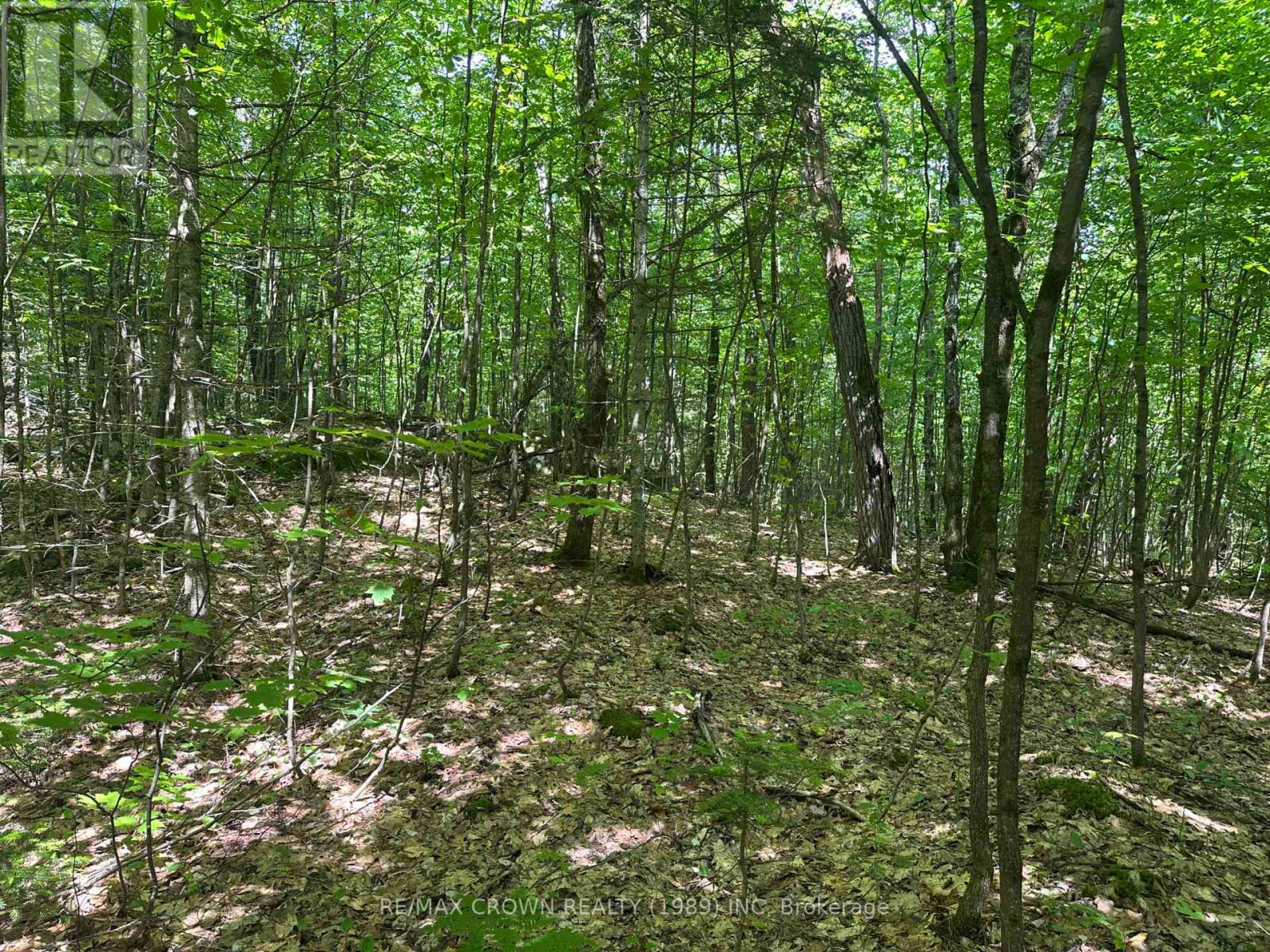 Photo 7 of Part 2 3097 Fern Glen Road, Mcmurrich Monteith ON