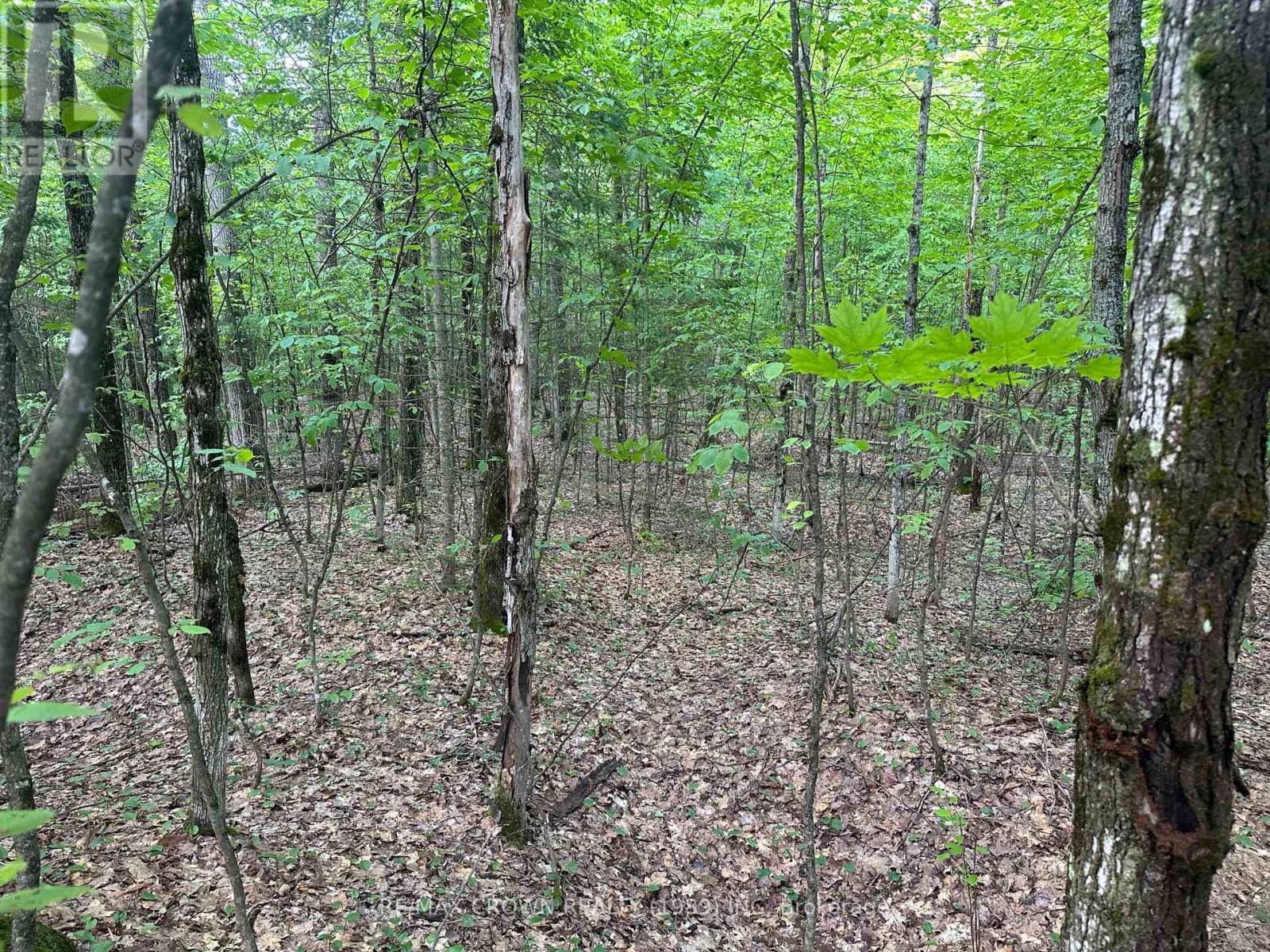 Photo 11 of Part 2 3097 Fern Glen Road, Mcmurrich Monteith ON