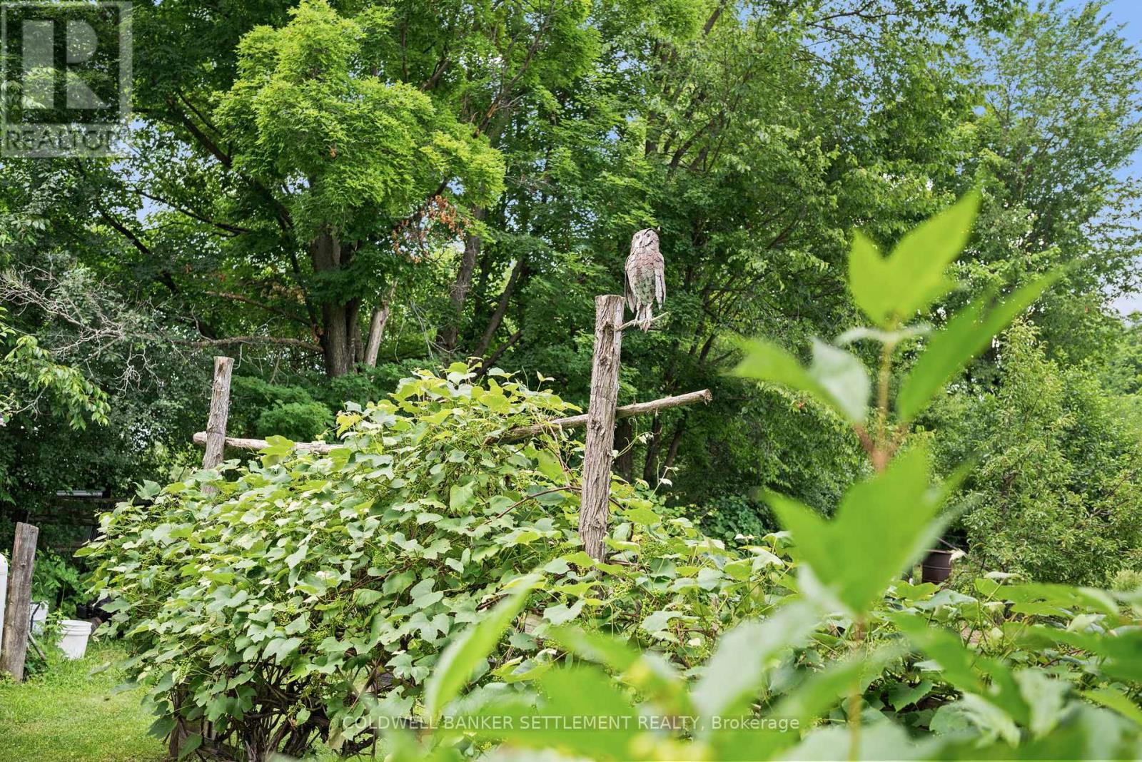 Photo 24 of 394 Elliott Road, Tay Valley ON