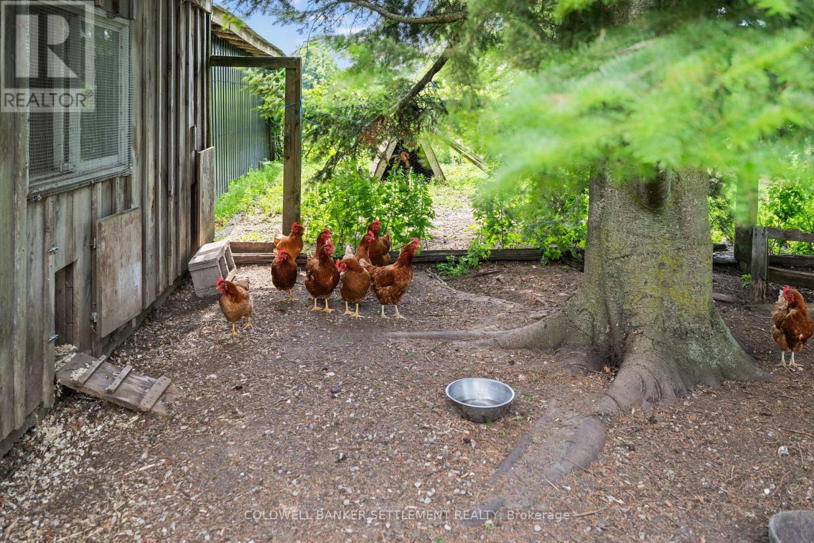 Photo 15 of 394 Elliott Road, Tay Valley ON