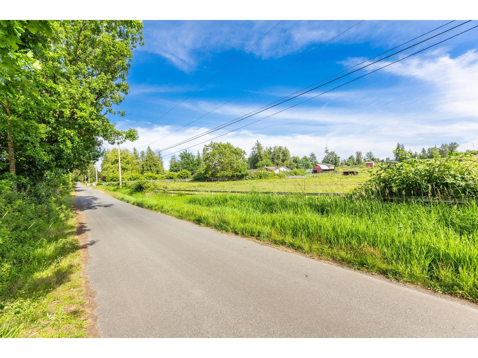 Photo 38 of 24990 36 Avenue, Langley BC