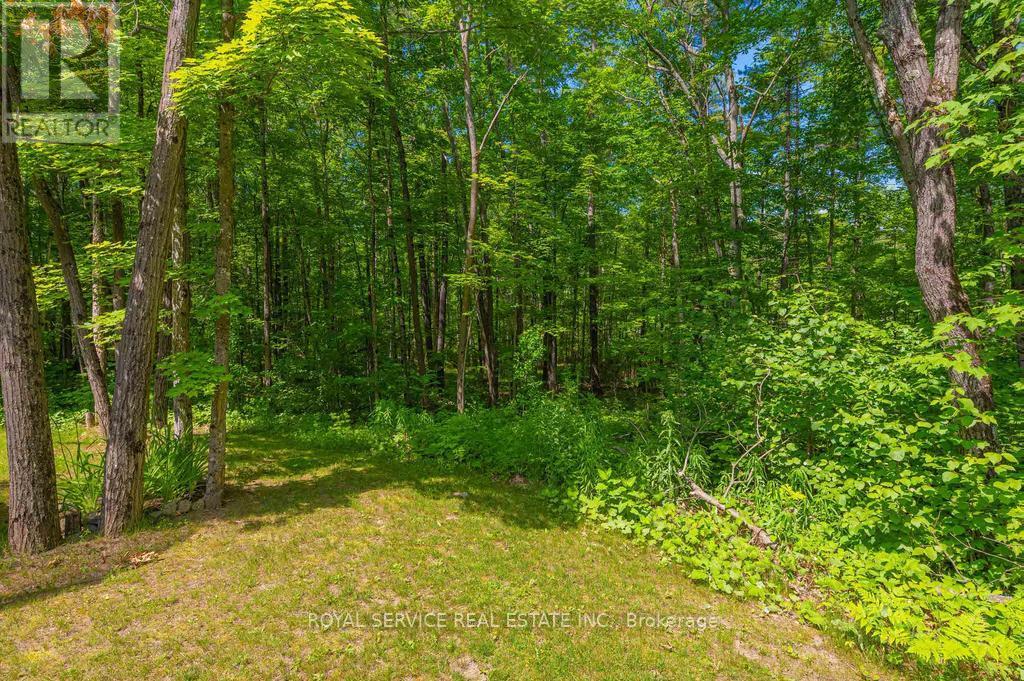 Photo 39 of 464 Belmont 7th Line, Havelockbelmontmethuen ON