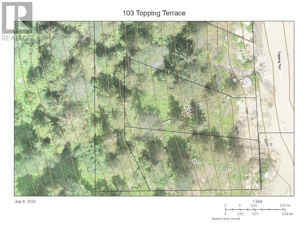 103 Topping Terrace, Rossland