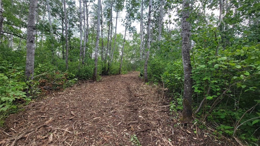 Photo 1 of 173237 110 Road, Fraserwood MB