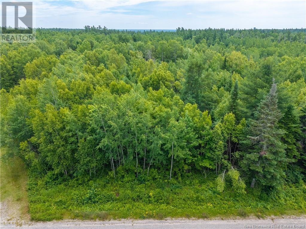Photo 5 of Lloyd Road, Miramichi NB