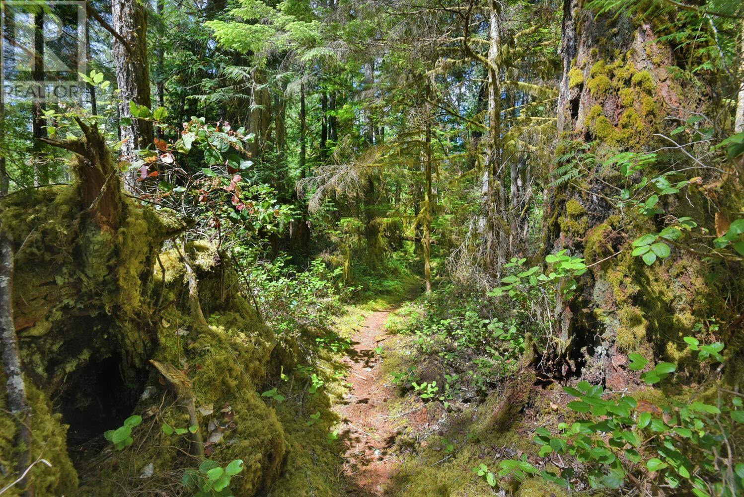 DL 6692 WEST LAKE, Nelson Island