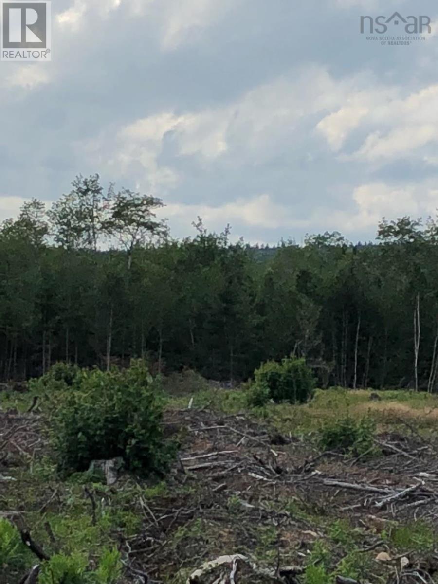 Vacant Land for Sale in Lot Upper Belmont Road Belmont 